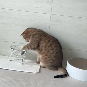 동영상 썸네일