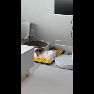 동영상 썸네일
