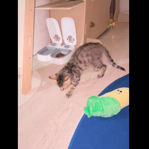 동영상 썸네일
