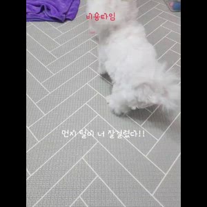 동영상 썸네일