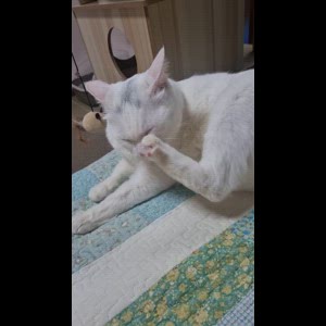 동영상 썸네일