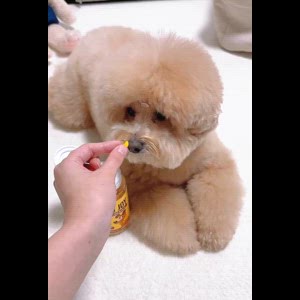동영상 썸네일