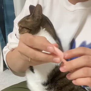 동영상 썸네일
