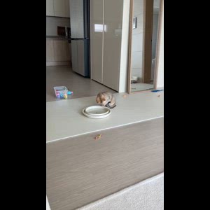 동영상 썸네일