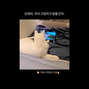 동영상 썸네일