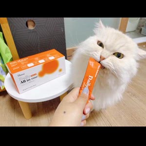 동영상 썸네일