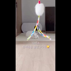동영상 썸네일