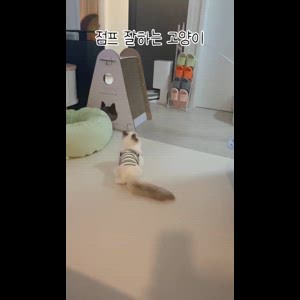 동영상 썸네일