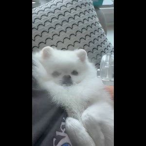 동영상 썸네일