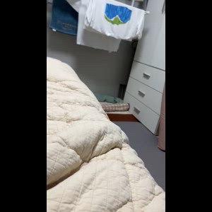 동영상 썸네일