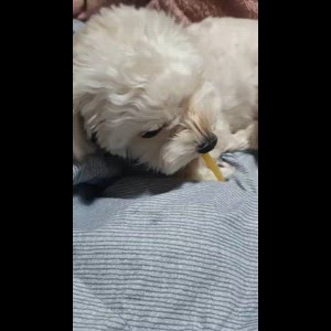 동영상 썸네일