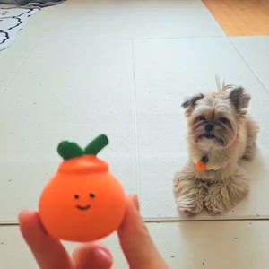 동영상 썸네일