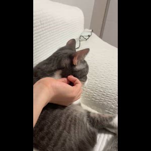 동영상 썸네일