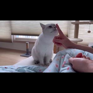 동영상 썸네일