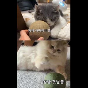 동영상 썸네일