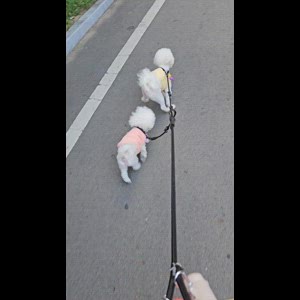 동영상 썸네일