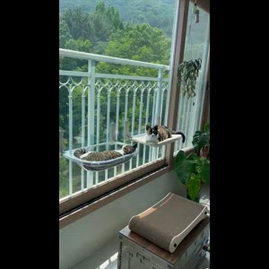 동영상 썸네일