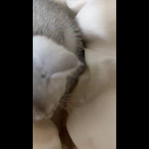 동영상 썸네일