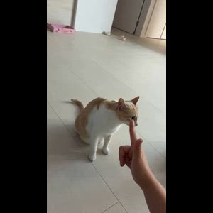 동영상 썸네일
